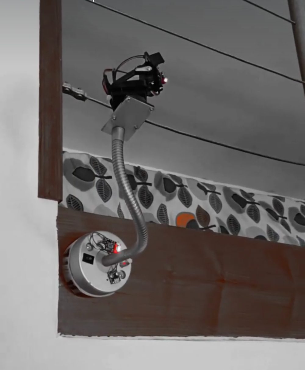 Laser motorisé programmable pour chat